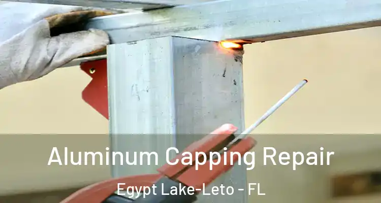 Aluminum Capping Repair Egypt Lake-Leto - FL