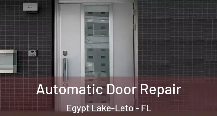 Automatic Door Repair Egypt Lake-Leto - FL