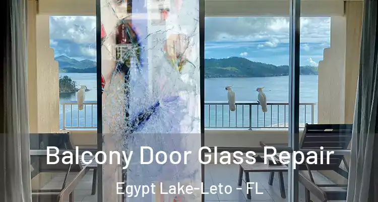 Balcony Door Glass Repair Egypt Lake-Leto - FL