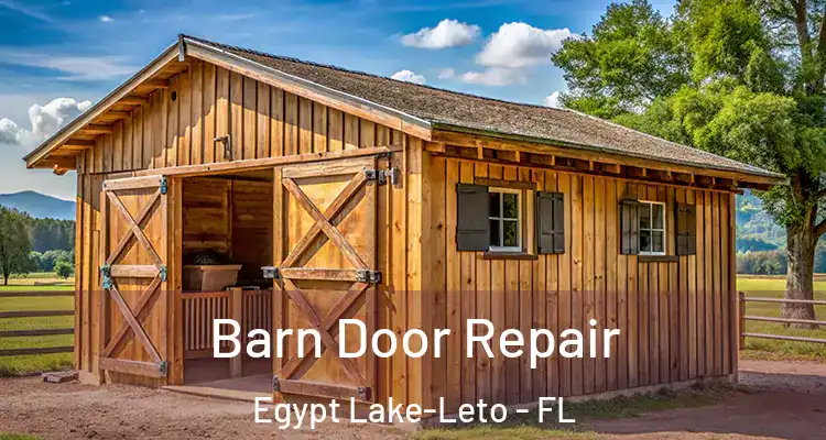 Barn Door Repair Egypt Lake-Leto - FL