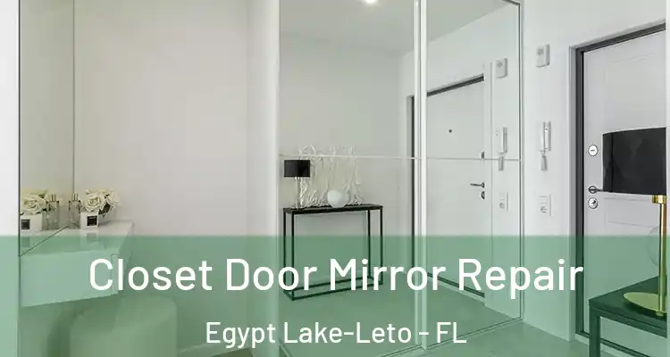 Closet Door Mirror Repair Egypt Lake-Leto - FL