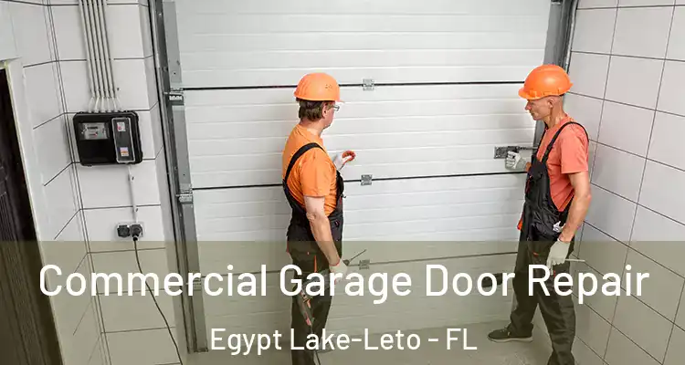 Commercial Garage Door Repair Egypt Lake-Leto - FL