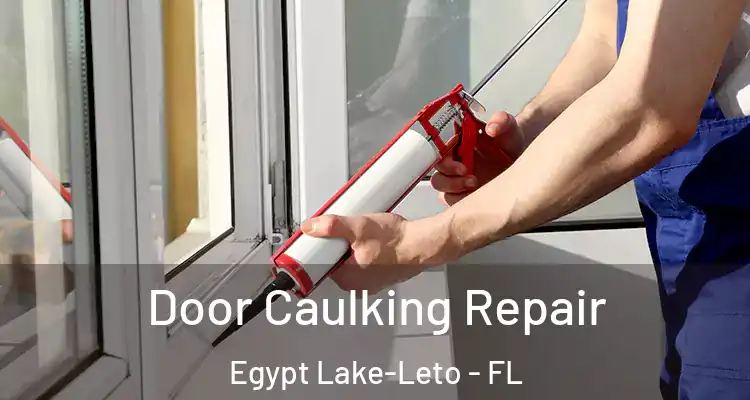 Door Caulking Repair Egypt Lake-Leto - FL
