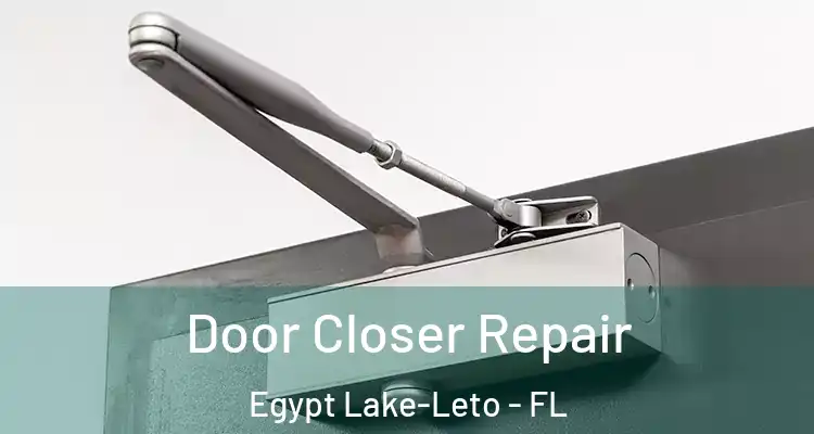 Door Closer Repair Egypt Lake-Leto - FL