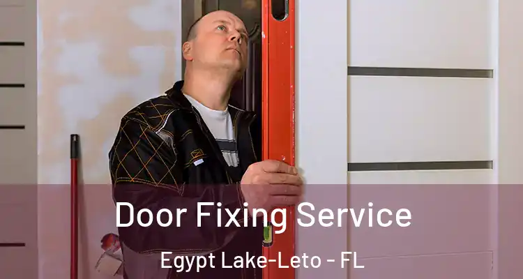 Door Fixing Service Egypt Lake-Leto - FL