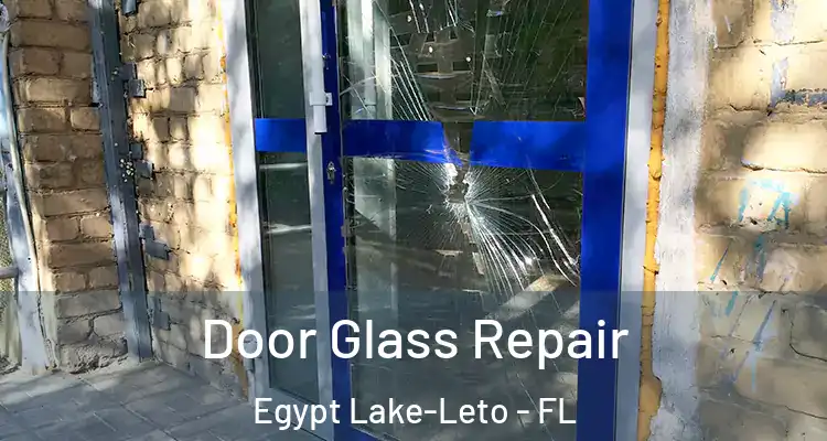 Door Glass Repair Egypt Lake-Leto - FL