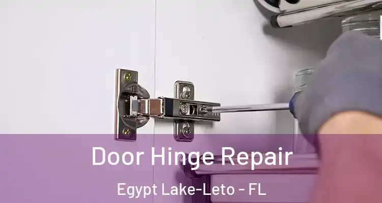Door Hinge Repair Egypt Lake-Leto - FL