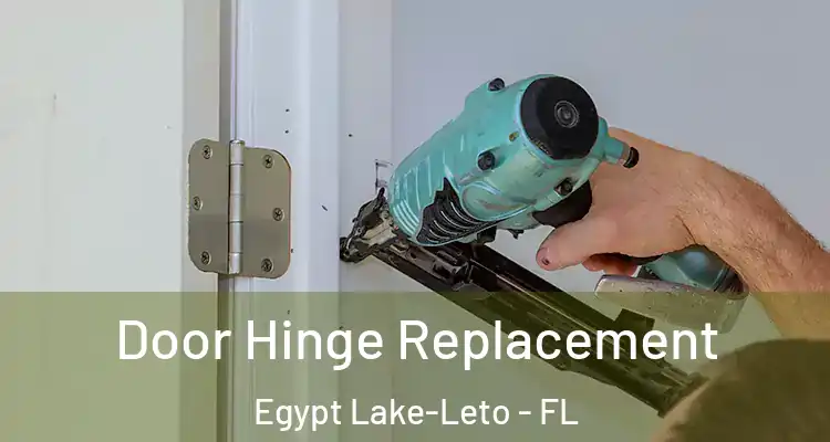 Door Hinge Replacement Egypt Lake-Leto - FL