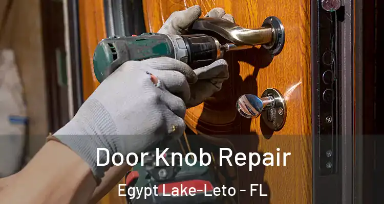 Door Knob Repair Egypt Lake-Leto - FL