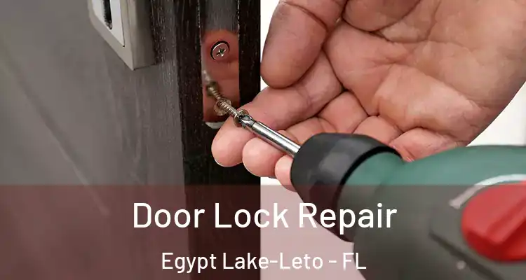 Door Lock Repair Egypt Lake-Leto - FL