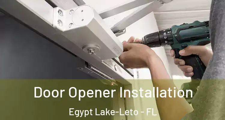 Door Opener Installation Egypt Lake-Leto - FL