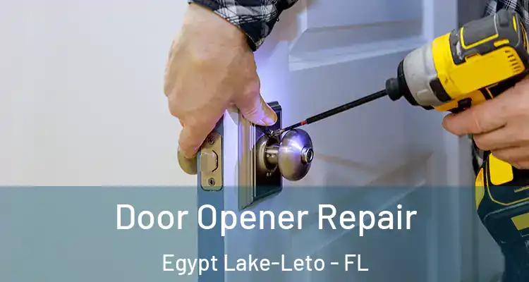 Door Opener Repair Egypt Lake-Leto - FL