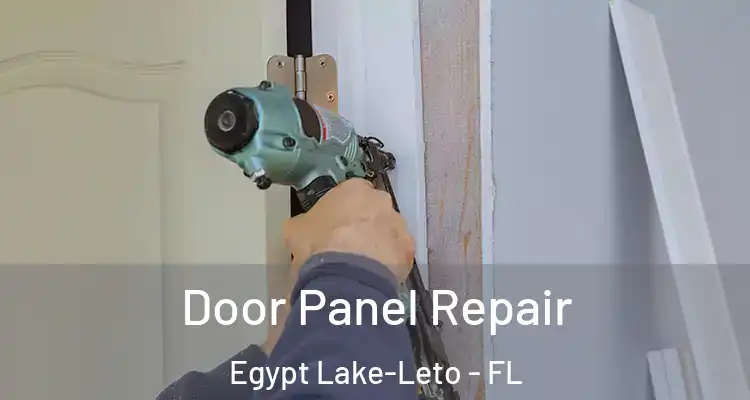 Door Panel Repair Egypt Lake-Leto - FL