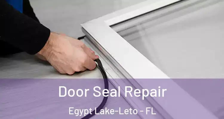 Door Seal Repair Egypt Lake-Leto - FL