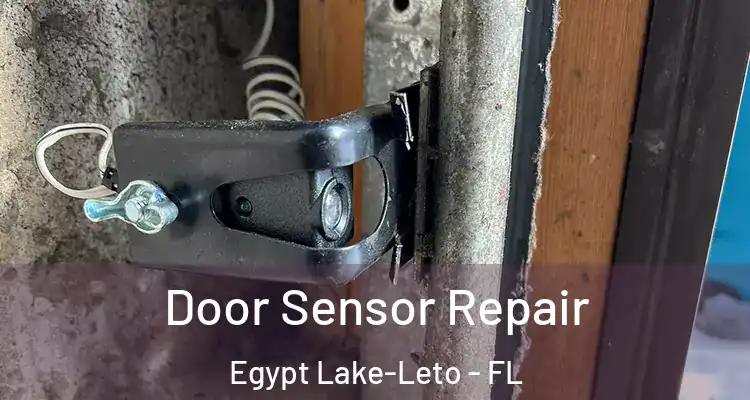 Door Sensor Repair Egypt Lake-Leto - FL