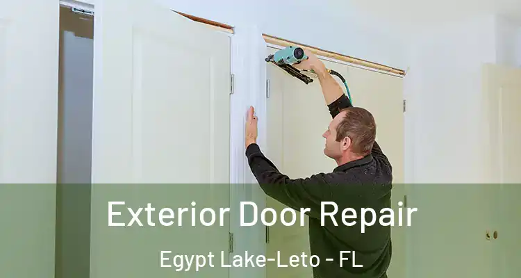 Exterior Door Repair Egypt Lake-Leto - FL