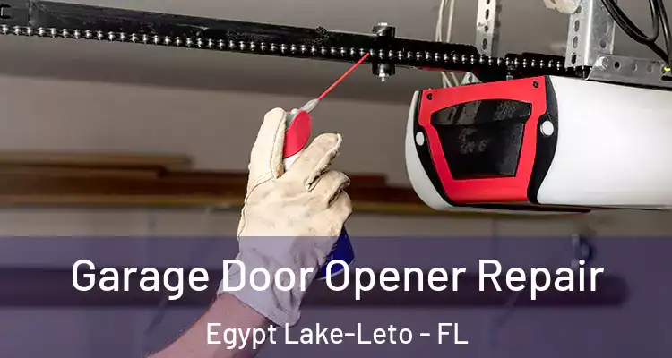 Garage Door Opener Repair Egypt Lake-Leto - FL