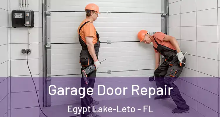 Garage Door Repair Egypt Lake-Leto - FL