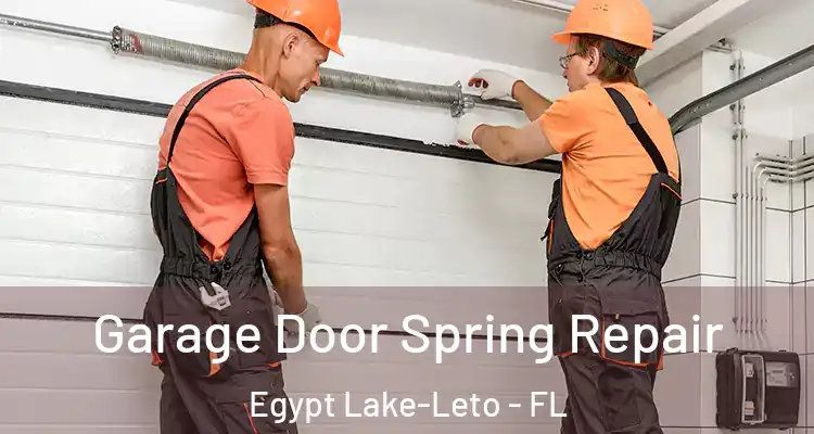 Garage Door Spring Repair Egypt Lake-Leto - FL