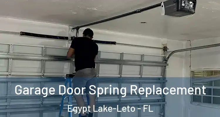 Garage Door Spring Replacement Egypt Lake-Leto - FL