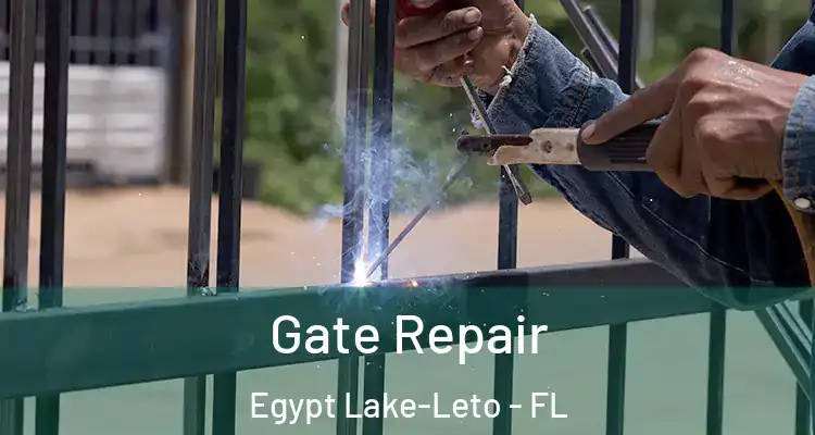 Gate Repair Egypt Lake-Leto - FL