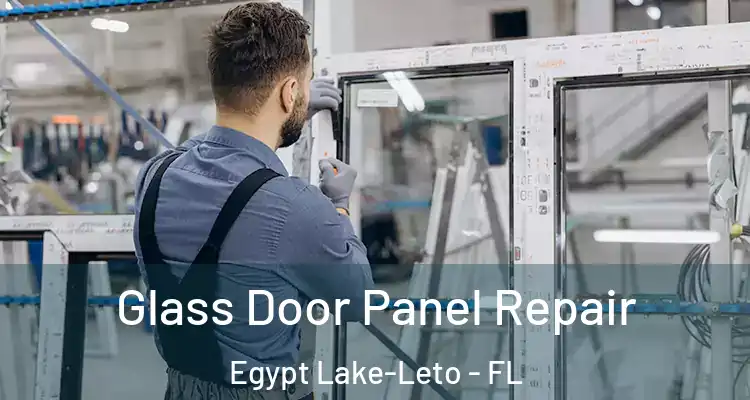 Glass Door Panel Repair Egypt Lake-Leto - FL