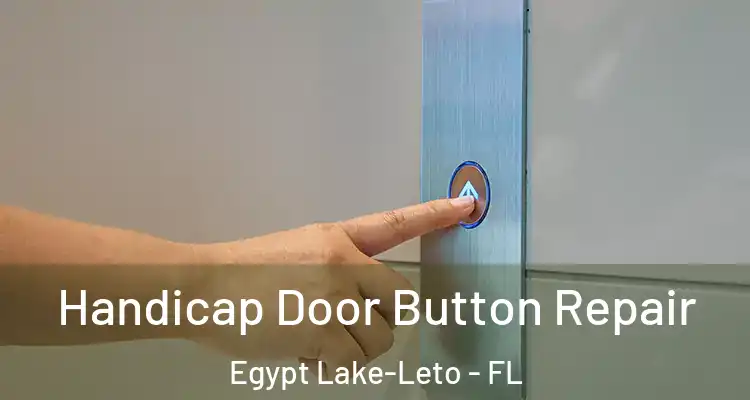 Handicap Door Button Repair Egypt Lake-Leto - FL