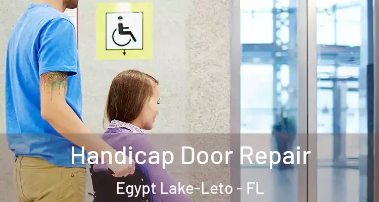 Handicap Door Repair Egypt Lake-Leto - FL
