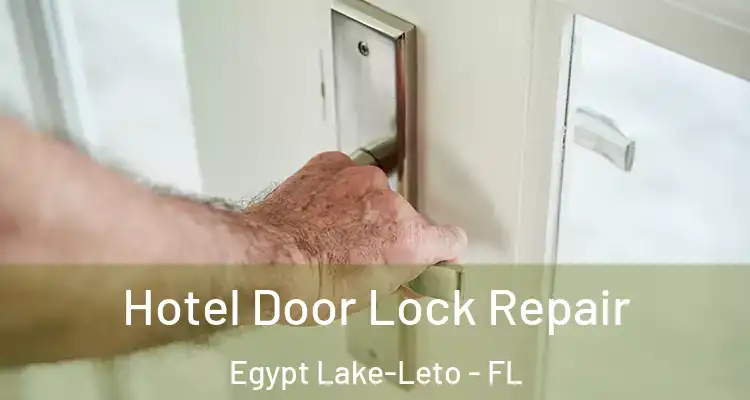 Hotel Door Lock Repair Egypt Lake-Leto - FL
