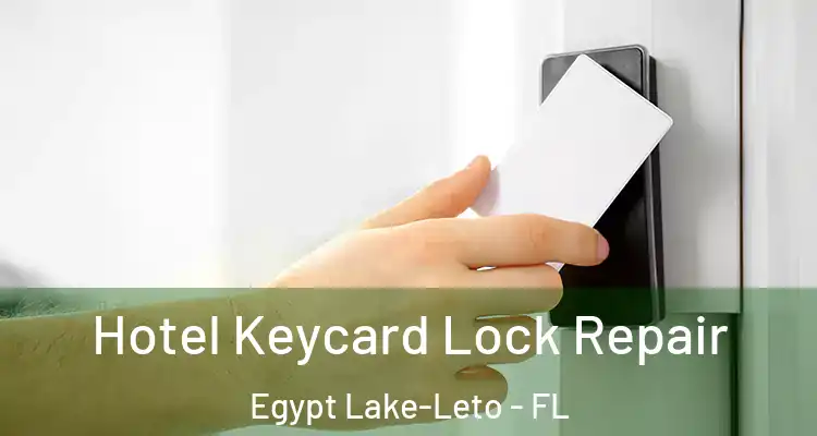 Hotel Keycard Lock Repair Egypt Lake-Leto - FL