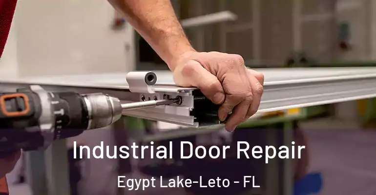 Industrial Door Repair Egypt Lake-Leto - FL