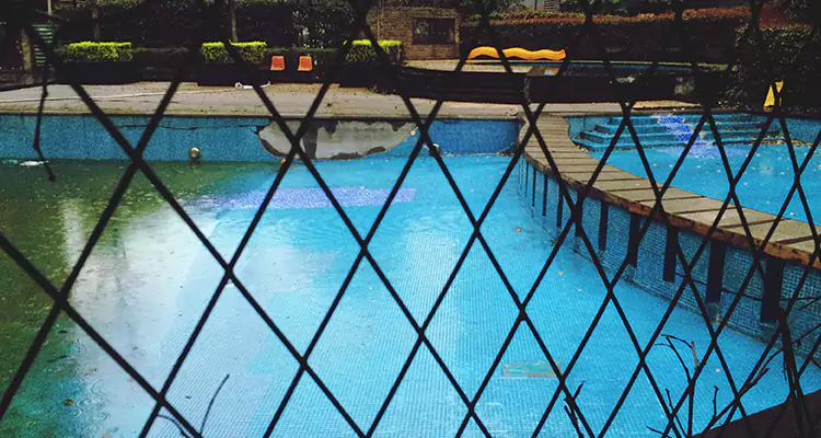 Lanai Screen Repair in Egypt Lake-Leto, FL