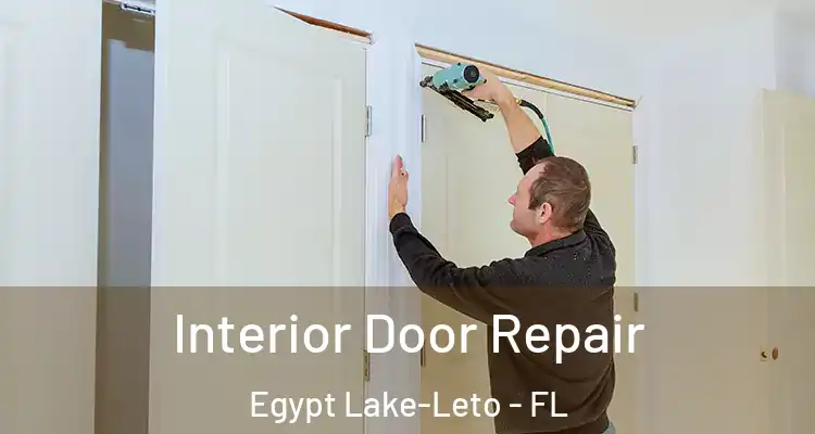 Interior Door Repair Egypt Lake-Leto - FL
