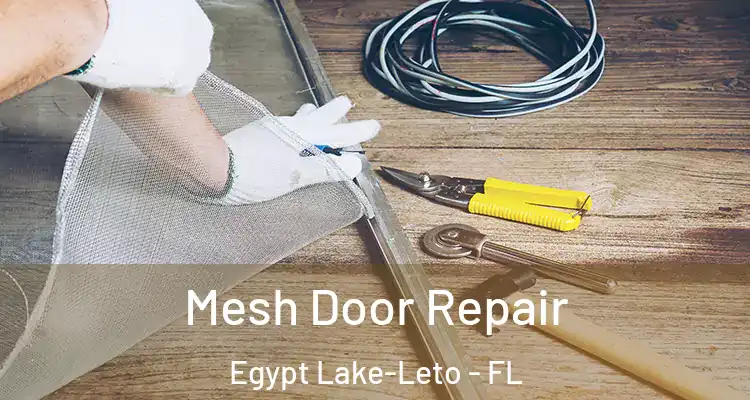 Mesh Door Repair Egypt Lake-Leto - FL
