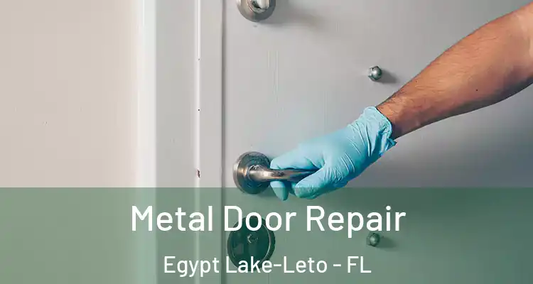Metal Door Repair Egypt Lake-Leto - FL