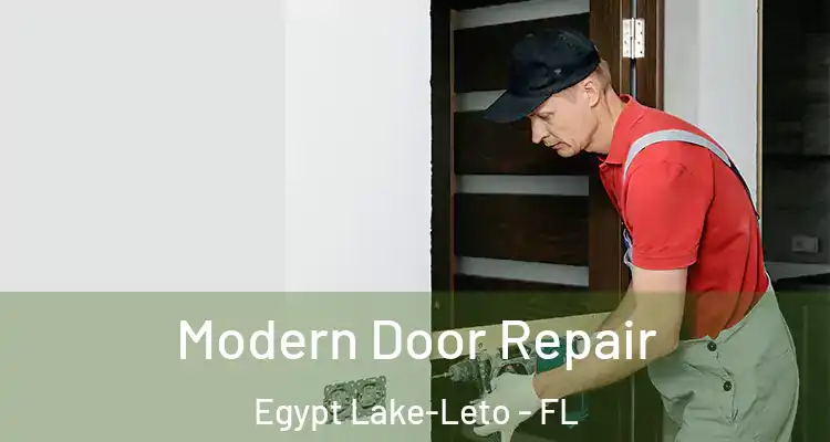 Modern Door Repair Egypt Lake-Leto - FL