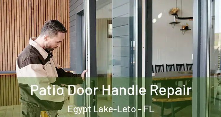 Patio Door Handle Repair Egypt Lake-Leto - FL