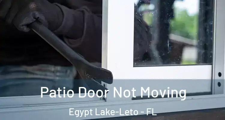 Patio Door Not Moving Egypt Lake-Leto - FL