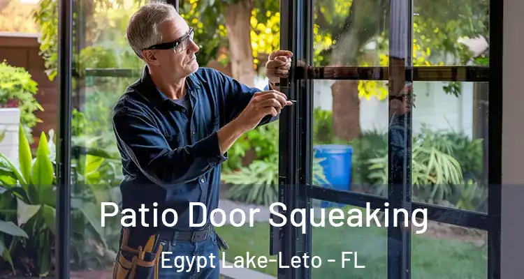 Patio Door Squeaking Egypt Lake-Leto - FL
