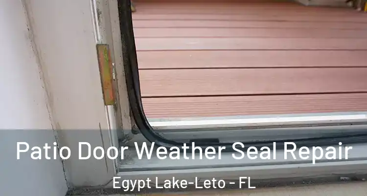 Patio Door Weather Seal Repair Egypt Lake-Leto - FL