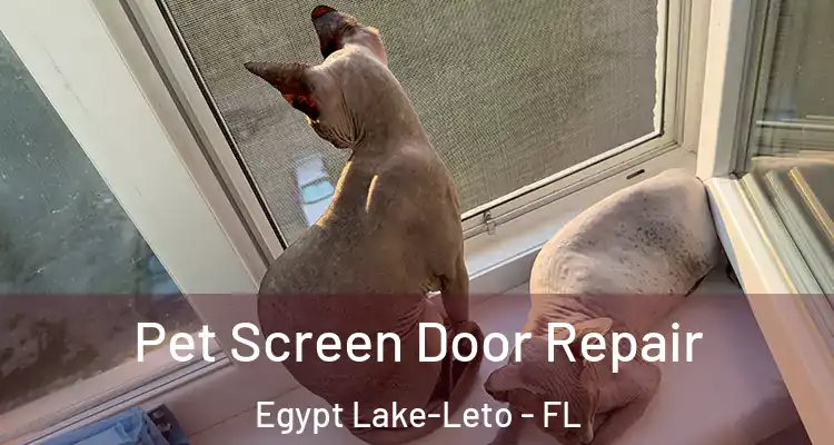 Pet Screen Door Repair Egypt Lake-Leto - FL