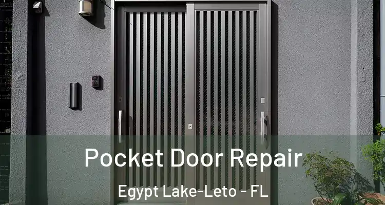Pocket Door Repair Egypt Lake-Leto - FL