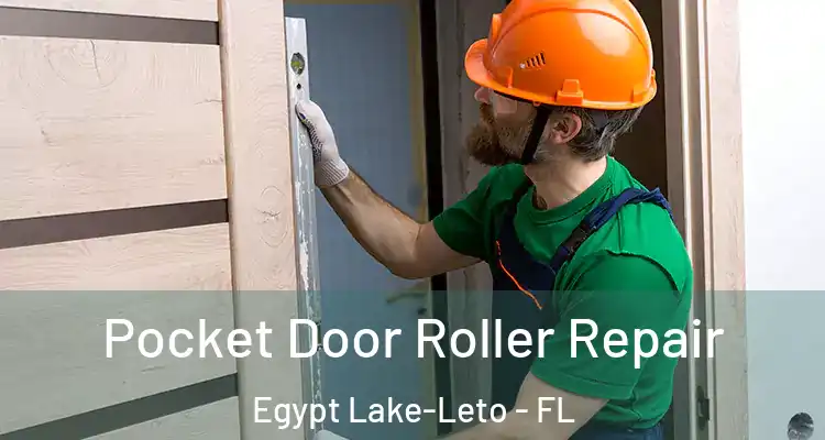 Pocket Door Roller Repair Egypt Lake-Leto - FL
