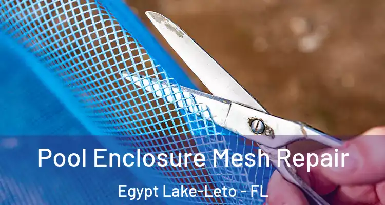 Pool Enclosure Mesh Repair Egypt Lake-Leto - FL