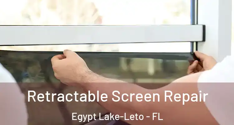 Retractable Screen Repair Egypt Lake-Leto - FL