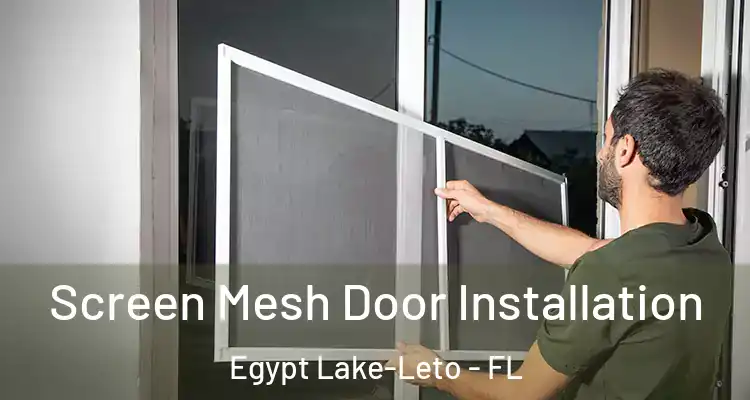 Screen Mesh Door Installation Egypt Lake-Leto - FL