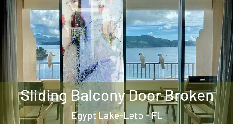 Sliding Balcony Door Broken Egypt Lake-Leto - FL