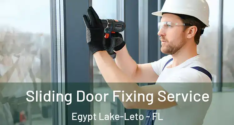 Sliding Door Fixing Service Egypt Lake-Leto - FL