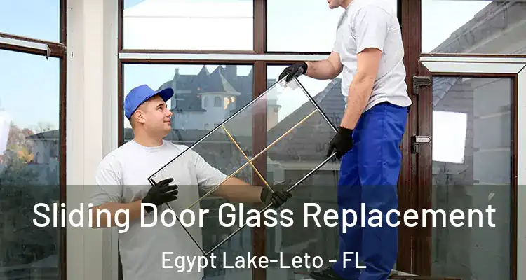 Sliding Door Glass Replacement Egypt Lake-Leto - FL