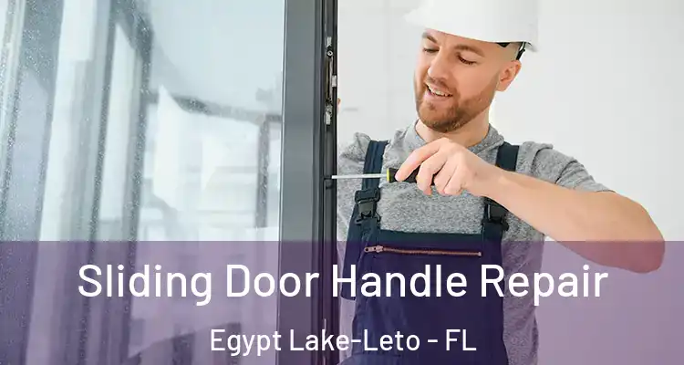 Sliding Door Handle Repair Egypt Lake-Leto - FL